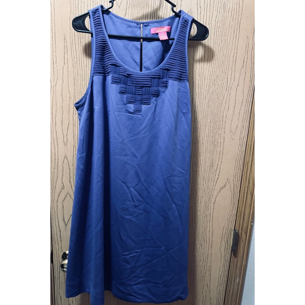 Catherine’s Sleeveless dress size XL
